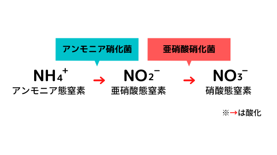 役割 窒素 窒素の働き